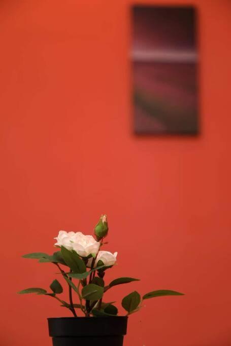 Sweet Cozy Home At Midhills Genting 4-5Pax Genting Highlands Eksteriør bilde